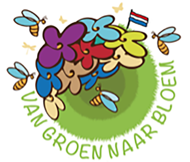 Van groen naar bloem